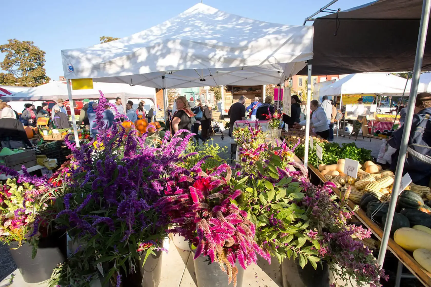 rancher’s market