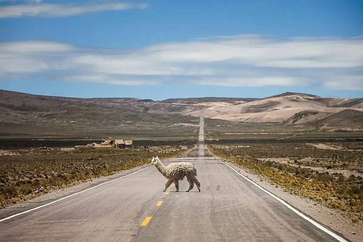 Salinas and Aguada Blanca National Reservation