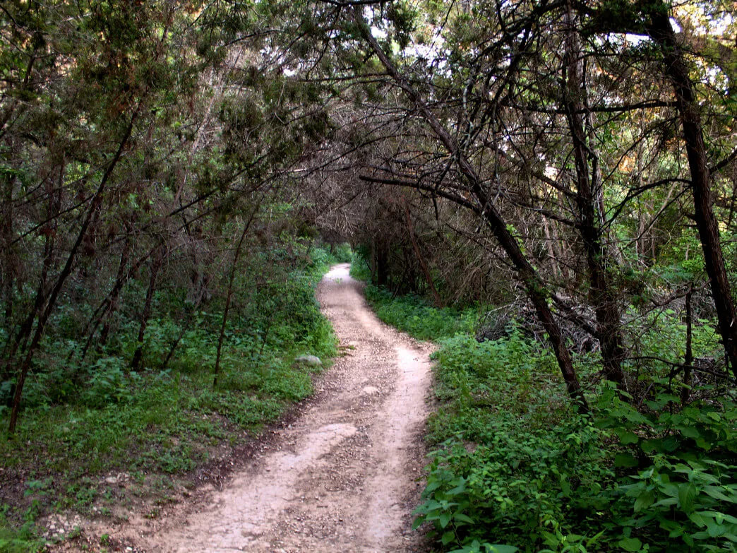 Mountain traveling at Barton Creek Greenbelt